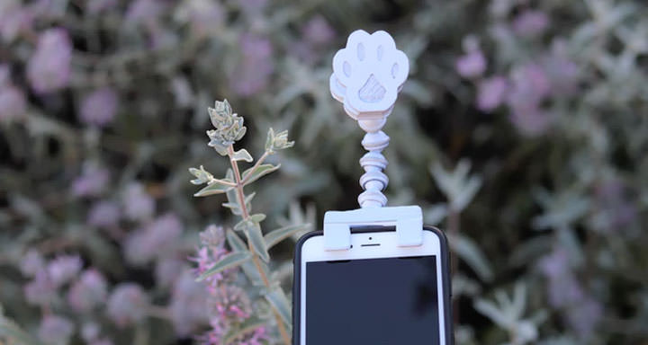 [Mobile] 愛拍寵物照片的朋友…或許你需要這個手機配件來幫助你拍出最完美的毛孩照片！ - 阿祥的網路筆記本