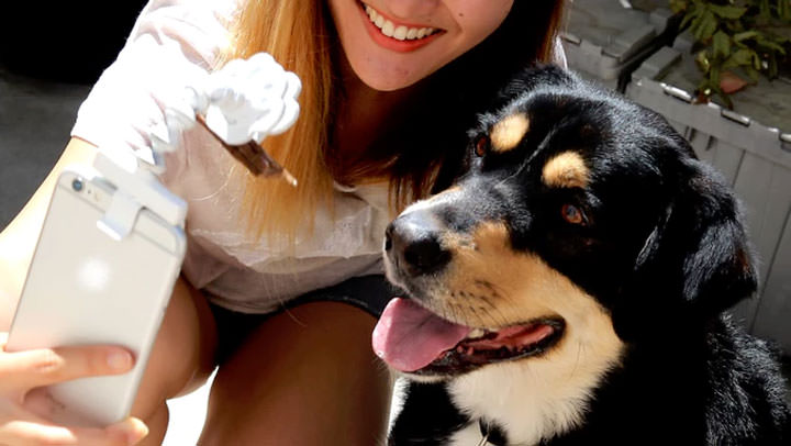 [Mobile] 愛拍寵物照片的朋友…或許你需要這個手機配件來幫助你拍出最完美的毛孩照片！ - 阿祥的網路筆記本