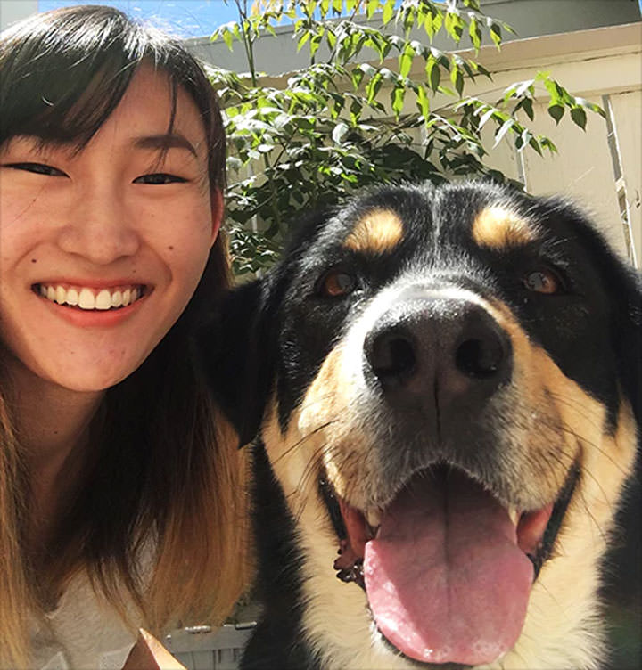 [Mobile] 愛拍寵物照片的朋友…或許你需要這個手機配件來幫助你拍出最完美的毛孩照片！ - 阿祥的網路筆記本