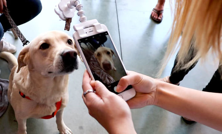 [Mobile] 愛拍寵物照片的朋友…或許你需要這個手機配件來幫助你拍出最完美的毛孩照片！ - 阿祥的網路筆記本
