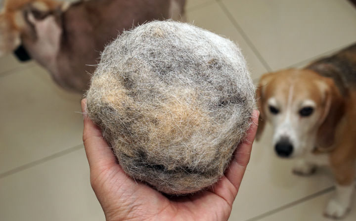 [Unbox] 家有寵物、過敏兒好困擾？ Samsung 新一代 「POWERbot 極勁氣旋機器人」40X 極勁吸力讓家中毛毛一乾二淨～而且完全不用你動手！ - 阿祥的網路筆記本