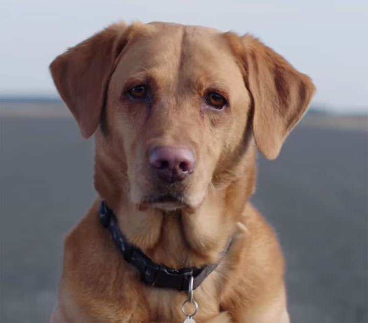 [Mobile] 用手機人工智慧運算驅動汽車？HUAWEI Mate 10 Pro 做到了！ - 阿祥的網路筆記本