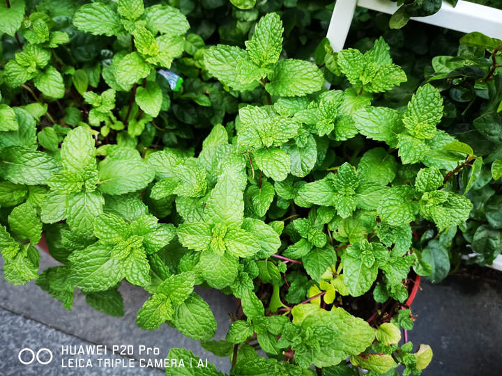 [Unbox] HUAWEI P20 Pro 讓手機攝影邁入新境界！開箱評測全新徠卡三鏡、4000萬畫素、5倍無損變焦、4秒手持夜拍…等獨特功能體驗！ - 阿祥的網路筆記本