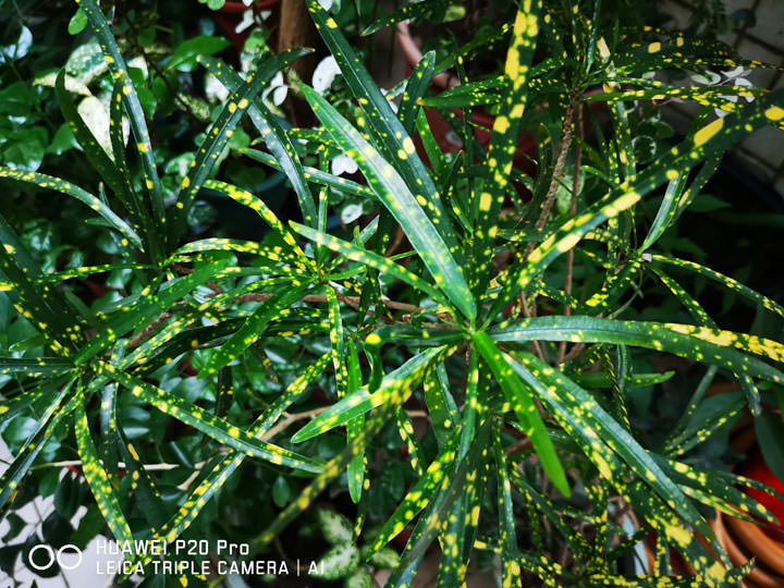 [Unbox] HUAWEI P20 Pro 讓手機攝影邁入新境界！開箱評測全新徠卡三鏡、4000萬畫素、5倍無損變焦、4秒手持夜拍…等獨特功能體驗！ - 阿祥的網路筆記本