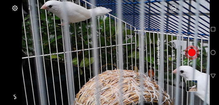 [Unbox] HUAWEI P20 Pro 讓手機攝影邁入新境界！開箱評測全新徠卡三鏡、4000萬畫素、5倍無損變焦、4秒手持夜拍…等獨特功能體驗！ - 阿祥的網路筆記本