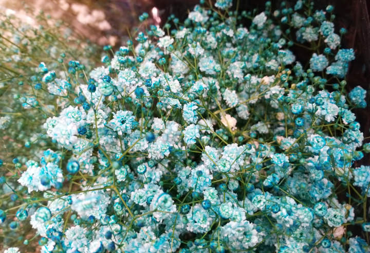 [Mobile] 就是要你拍得美！「智慧美顏」與「專業打光」加持大螢幕新機 Galaxy A8 Star 開箱與深度評測！ - 阿祥的網路筆記本