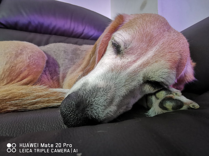 [Unbox] 黑科技毫無保留，徠卡三鏡頭再創攝影體驗新高峰：HUAWEI Mate20 Pro 開箱與深度評測！ - 阿祥的網路筆記本