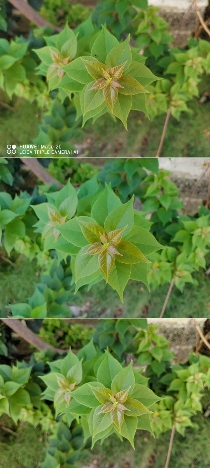 [Mobile] 同級旗艦大對決！HUAWEI Mate20 V.S. Samsung Galaxy S9+ 對比評測！外加 Google Pixel 3 XL 亂入比一比！ - 阿祥的網路筆記本