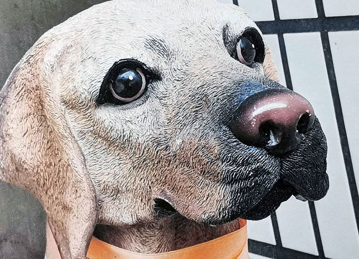 [Unbox] 不只列印精省，複印、掃描、傳真與無線連結功能更強大！Brother MFC-T4500DW 原廠大連供 A3 多功能複合機開箱評測！ - 阿祥的網路筆記本