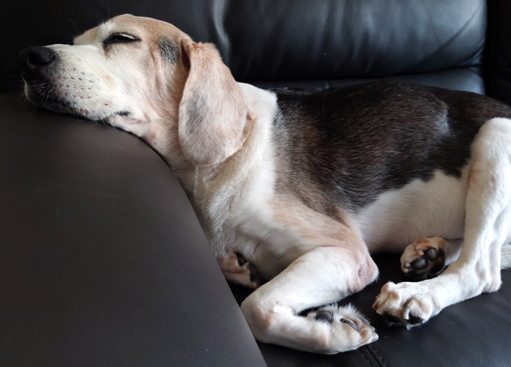 [Unbox] 首創「O極限全螢幕」手機 Galaxy A8s 開箱！高螢幕佔比、三鏡頭相機、更安全的生物辨識與眾多實用功能一次到位！ - 阿祥的網路筆記本