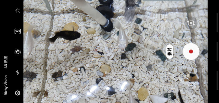 [Mobile] 拍照強大，錄影功能更上一層樓！Galaxy S10+ 錄影功能解析，超強大影片防震功能實測！ - 阿祥的網路筆記本