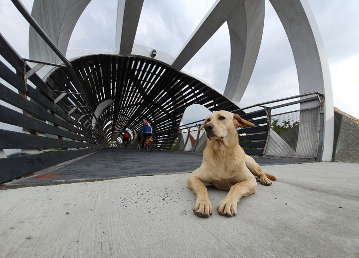 [Mobile] 展現真「10力」！三星銀河十週年旗艦 Galaxy S10+ 深度評測與體驗心得！ - 阿祥的網路筆記本