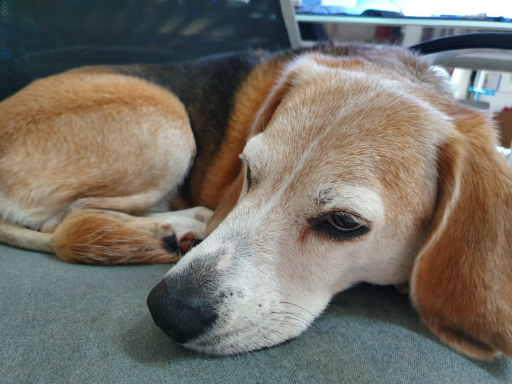 [Mobile] 展現真「10力」！三星銀河十週年旗艦 Galaxy S10+ 深度評測與體驗心得！ - 阿祥的網路筆記本