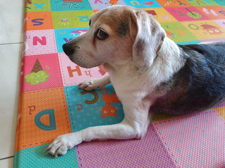 [Mobile] 展現真「10力」！三星銀河十週年旗艦 Galaxy S10+ 深度評測與體驗心得！ - 阿祥的網路筆記本