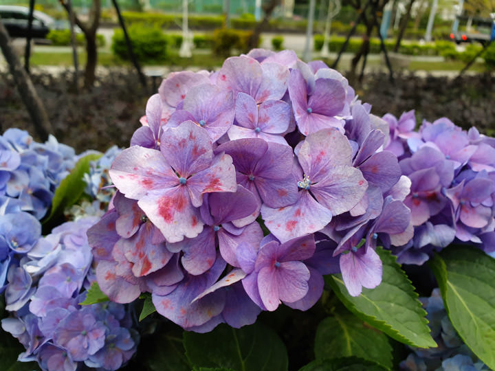 [Mobile] 展現真「10力」！三星銀河十週年旗艦 Galaxy S10+ 深度評測與體驗心得！ - 阿祥的網路筆記本