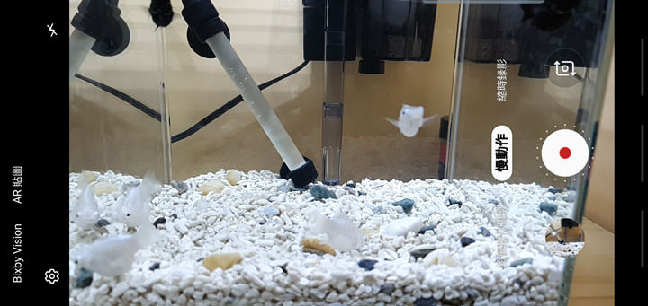 [Mobile] 展現真「10力」！三星銀河十週年旗艦 Galaxy S10+ 深度評測與體驗心得！ - 阿祥的網路筆記本