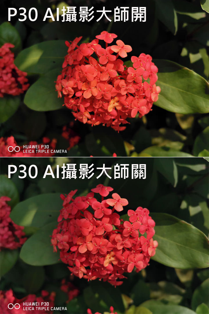 [Mobile] 同為三鏡頭配置，入門旗艦 HUAWEI P30 打得過高階旗艦 Samsung Galaxy S10+？相機對比評測見真章！ - 阿祥的網路筆記本