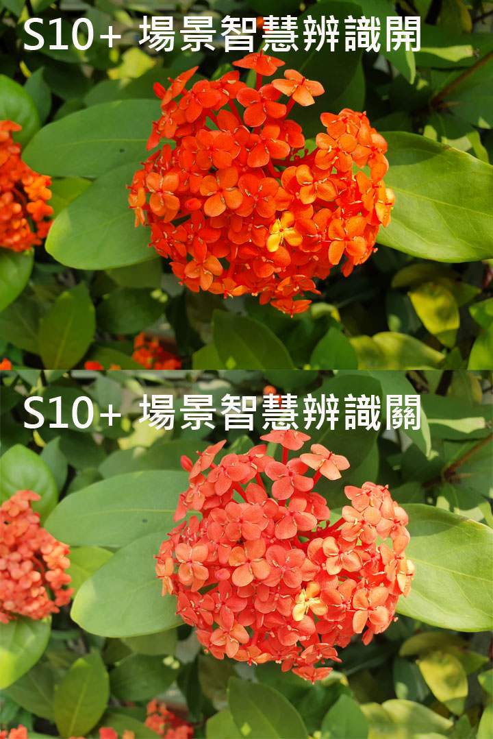 [Mobile] 同為三鏡頭配置，入門旗艦 HUAWEI P30 打得過高階旗艦 Samsung Galaxy S10+？相機對比評測見真章！ - 阿祥的網路筆記本