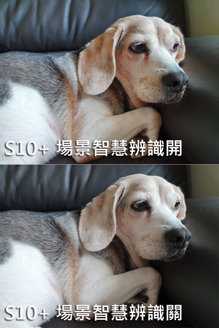 [Mobile] 同為三鏡頭配置，入門旗艦 HUAWEI P30 打得過高階旗艦 Samsung Galaxy S10+？相機對比評測見真章！ - 阿祥的網路筆記本