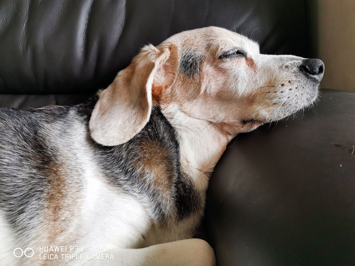 [Unbox] HUAWEI P30 開箱與深度評測：相機功能無與倫比，優異規格與高 CP 值兼具，強悍旗艦輕鬆入手！ - 阿祥的網路筆記本