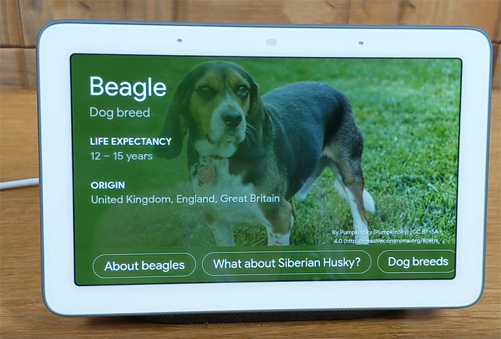 加入觸控螢幕，Google Home Hub （Nest Hub）智慧喇叭應用層面多更多：開箱分享與使用心得，再推薦最划算入手 Qoo10 平台！ - 阿祥的網路筆記本