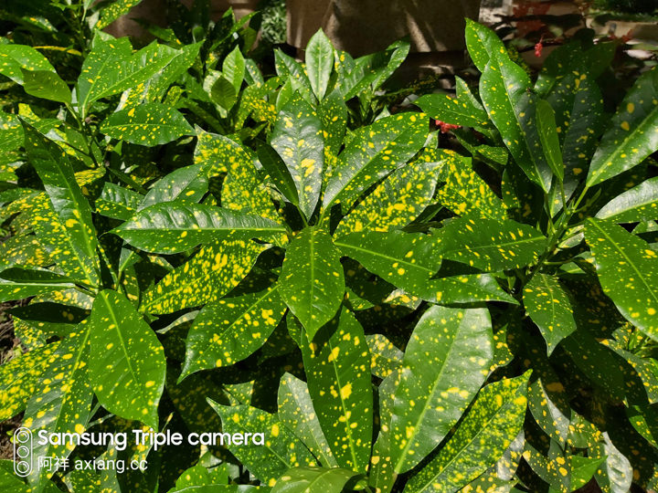 [Unbox] 三星 Galaxy A60 開箱評測：集結大螢幕、大容量、大電量與美拍三鏡頭的全方位中階旗艦！ - 阿祥的網路筆記本