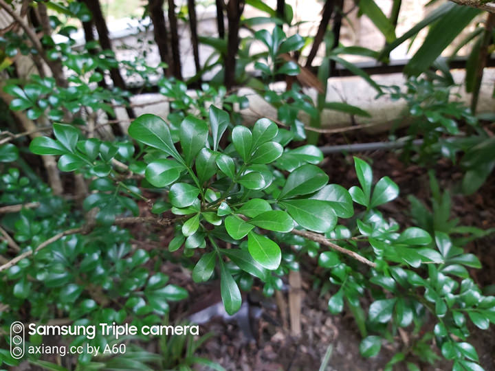 [Unbox] 三星 Galaxy A60 開箱評測：集結大螢幕、大容量、大電量與美拍三鏡頭的全方位中階旗艦！ - 阿祥的網路筆記本