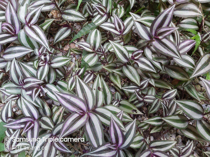 [Unbox] 三星 Galaxy A60 開箱評測：集結大螢幕、大容量、大電量與美拍三鏡頭的全方位中階旗艦！ - 阿祥的網路筆記本