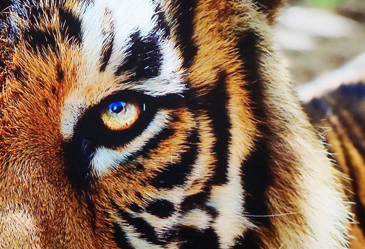 三星 QLED 8K 量子電視 Q900R 開箱體驗：不只 8K 超高解析度，更用金屬量子點顯色與 AI 科技震撼你的感官！ - 阿祥的網路筆記本