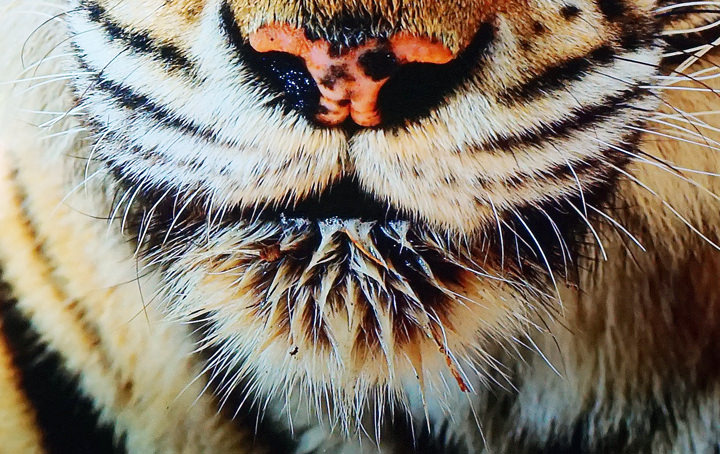 三星 QLED 8K 量子電視 Q900R 開箱體驗：不只 8K 超高解析度，更用金屬量子點顯色與 AI 科技震撼你的感官！ - 阿祥的網路筆記本