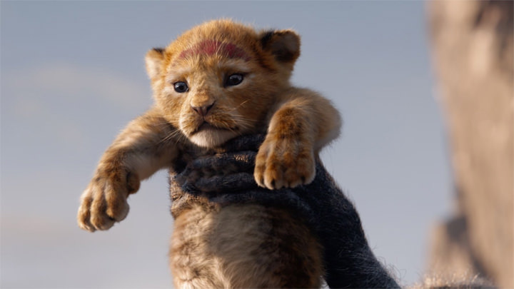 [Movie] 經典劇情，全新詮釋：獅子王「真獅版」帶來「動物星球」風格的全新體驗？ - 阿祥的網路筆記本