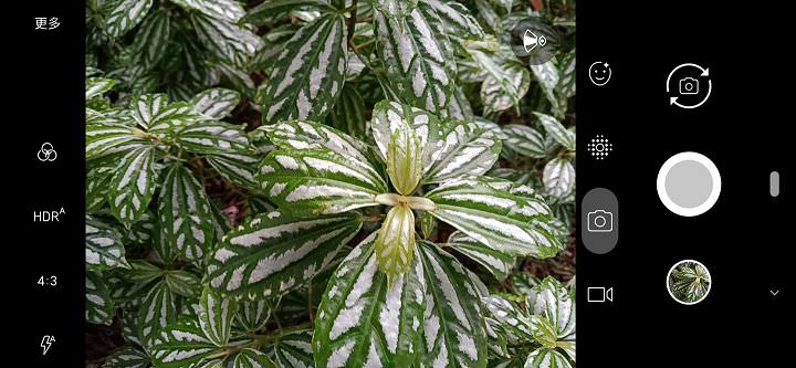 [Mobile] 高 CP 值中階旗艦 SUGAR T50 深度評測：高顏值全螢幕、超廣角三鏡頭與完整規格毫無保留一次奉上！ - 阿祥的網路筆記本