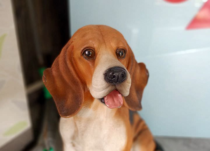 [Mobile] 高 CP 值中階旗艦 SUGAR T50 深度評測：高顏值全螢幕、超廣角三鏡頭與完整規格毫無保留一次奉上！ - 阿祥的網路筆記本