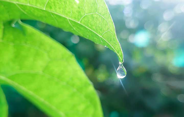 [Mobile] Sony Mobile 大師級手機 Xperia 1 開賣首月奪安卓旗艦冠軍！購機優惠再延長！ - 阿祥的網路筆記本