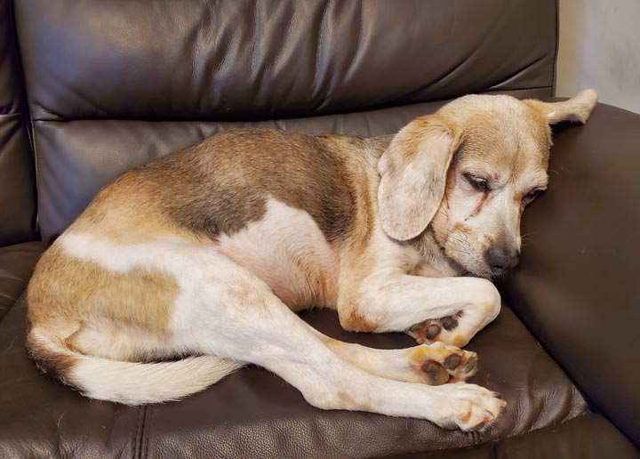 [Unbox] 三星 Galaxy Note10+ 搶先測！持續創新、不斷進化且功能齊備，無可取代的數位生產力旗艦再臨！ - 阿祥的網路筆記本