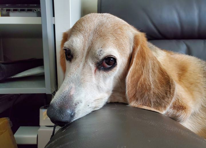 [Unbox] 三星 Galaxy Note10+ 搶先測！持續創新、不斷進化且功能齊備，無可取代的數位生產力旗艦再臨！ - 阿祥的網路筆記本