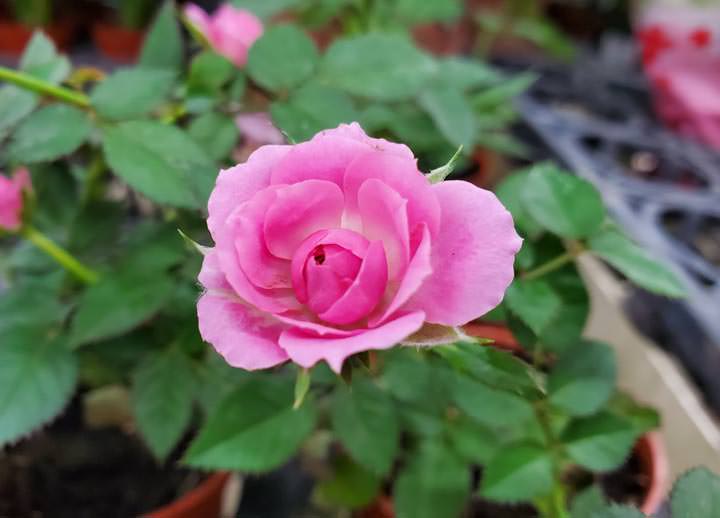 [Unbox] 三星 Galaxy Note10+ 搶先測！持續創新、不斷進化且功能齊備，無可取代的數位生產力旗艦再臨！ - 阿祥的網路筆記本