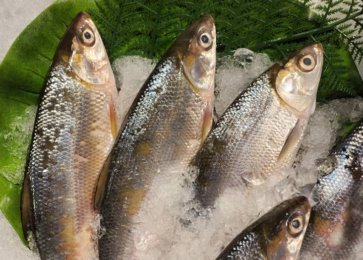 [Unbox] 三星 Galaxy Note10+ 搶先測！持續創新、不斷進化且功能齊備，無可取代的數位生產力旗艦再臨！ - 阿祥的網路筆記本