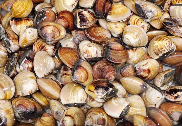 [Unbox] 三星 Galaxy Note10+ 搶先測！持續創新、不斷進化且功能齊備，無可取代的數位生產力旗艦再臨！ - 阿祥的網路筆記本