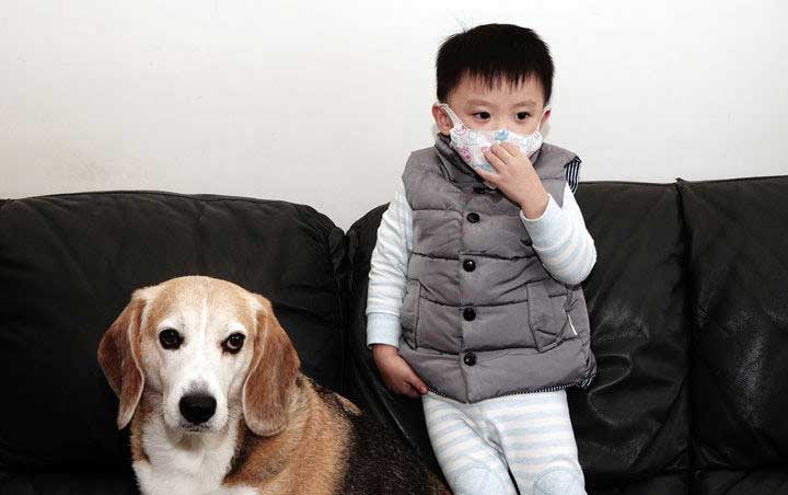 [Unbox] 超高 600 CADR 值 + HEPA 13 級抗菌濾網！伊萊克斯 PURE A9 高效能抗菌空氣清淨機無死角守護家人健康！ - 阿祥的網路筆記本