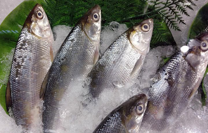 SHARP AQUOS R3 深度實測報告：集美型設計與高水準攝錄功能於一身的日系手機！ - 阿祥的網路筆記本