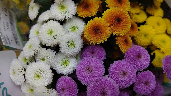 SHARP AQUOS R3 深度實測報告：集美型設計與高水準攝錄功能於一身的日系手機！ - 阿祥的網路筆記本