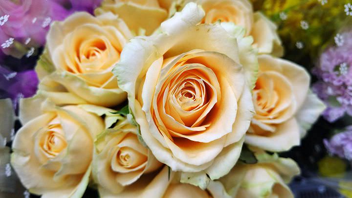 SHARP AQUOS R3 深度實測報告：集美型設計與高水準攝錄功能於一身的日系手機！ - 阿祥的網路筆記本