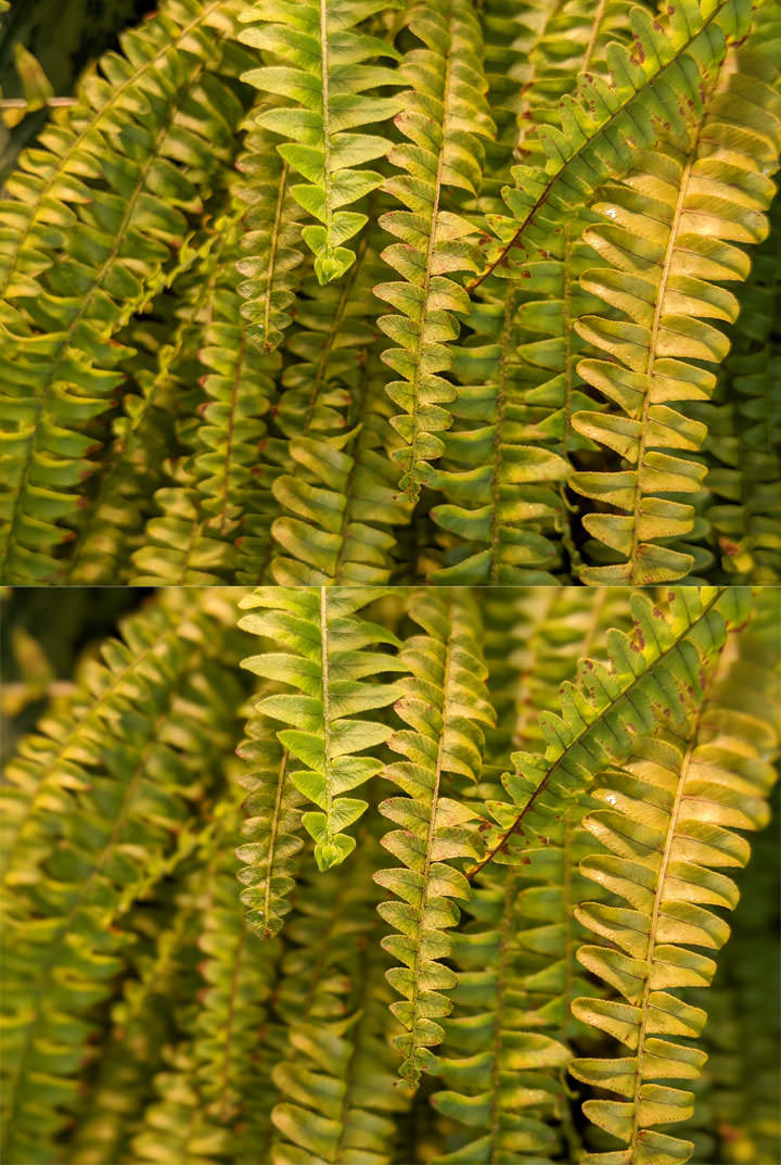 Google Pixel 4 純粹黑開箱:輕巧與效能皆備,相機功能再升級、強大之餘更兼具易用性! - 阿祥的網路筆記本 Google Pixel 4 純粹黑開箱:輕巧與效能皆備,相機功能再升級、強大之餘更兼具易用性! - 阿祥的網路筆記本