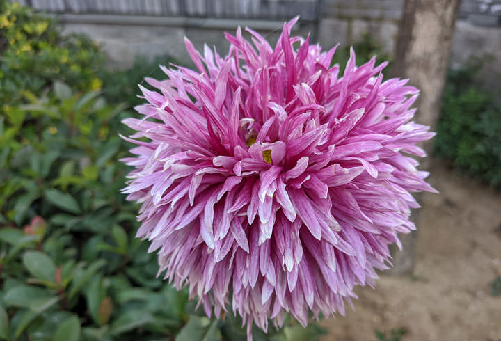 Google Pixel 4 純粹黑開箱:輕巧與效能皆備,相機功能再升級、強大之餘更兼具易用性! - 阿祥的網路筆記本 Google Pixel 4 純粹黑開箱:輕巧與效能皆備,相機功能再升級、強大之餘更兼具易用性! - 阿祥的網路筆記本