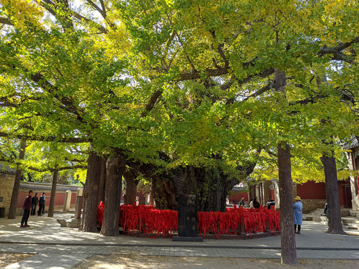 Google Pixel 4 純粹黑開箱:輕巧與效能皆備,相機功能再升級、強大之餘更兼具易用性! - 阿祥的網路筆記本 Google Pixel 4 純粹黑開箱:輕巧與效能皆備,相機功能再升級、強大之餘更兼具易用性! - 阿祥的網路筆記本