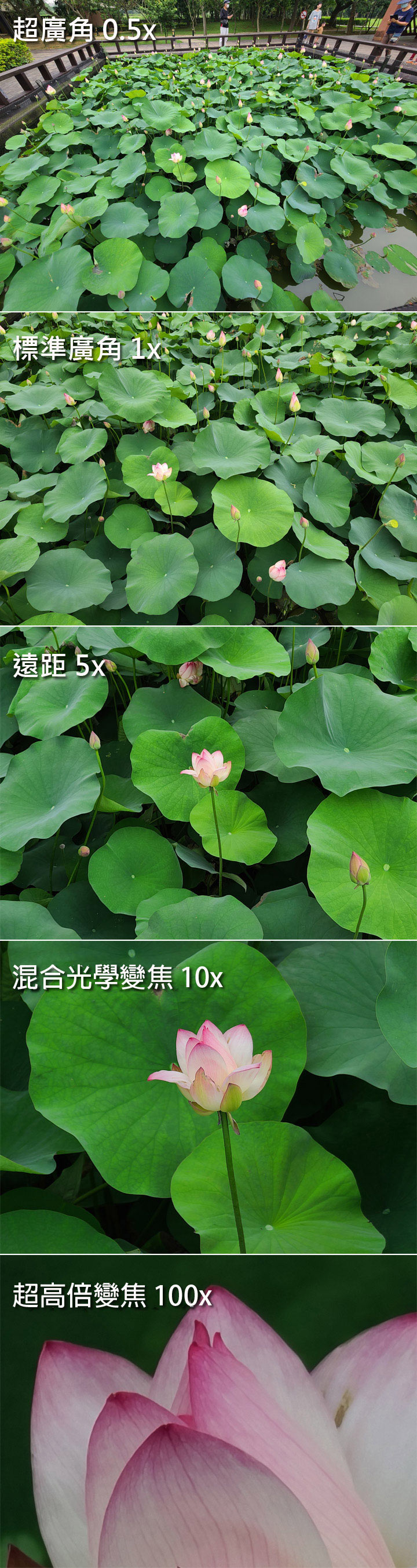 三星 Galaxy S 系列相機最大進化？Galaxy S20 5G 旗艦系列相機實戰評測！看完就知哪一款最適合你！ - 阿祥的網路筆記本