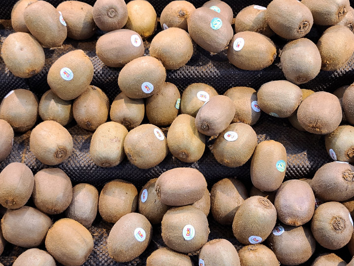 三星 Galaxy S 系列相機最大進化？Galaxy S20 5G 旗艦系列相機實戰評測！看完就知哪一款最適合你！ - 阿祥的網路筆記本