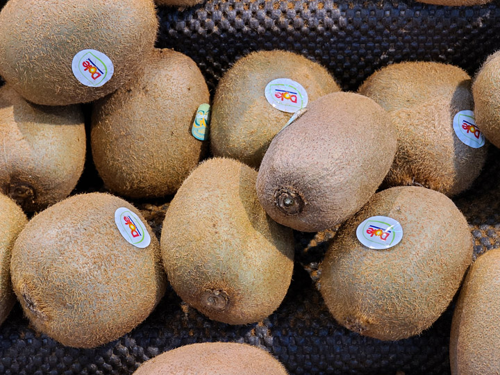 三星 Galaxy S 系列相機最大進化？Galaxy S20 5G 旗艦系列相機實戰評測！看完就知哪一款最適合你！ - 阿祥的網路筆記本