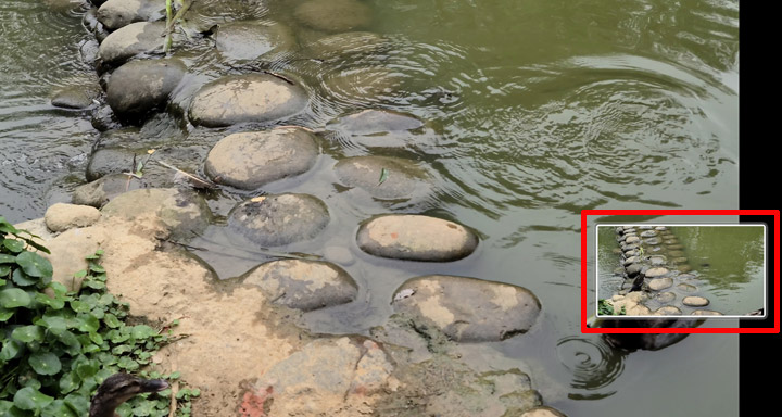 三星 Galaxy S 系列相機最大進化？Galaxy S20 5G 旗艦系列相機實戰評測！看完就知哪一款最適合你！ - 阿祥的網路筆記本